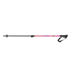 SCOTT ELEMENT ADJ